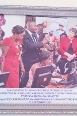 Capitalism, Entrepreneurs and Business Associations at Work: New Ethnographies of Private Sector Dynamics in Africa